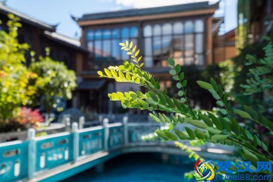 2018年最全最新的云南丽江旅游攻略