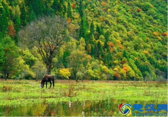 2018年最全最新的云南丽江旅游攻略