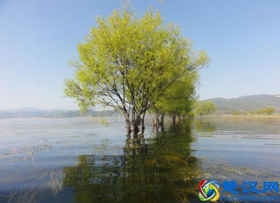 2018年最全最新的云南丽江旅游攻略