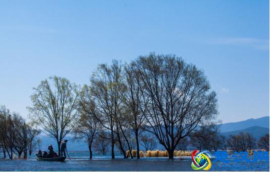 2018年最全最新的云南丽江旅游攻略