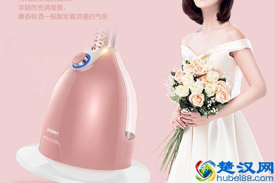 家用挂烫机哪个牌子的好 家用挂烫机使用技巧