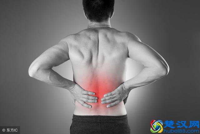 肾虚不要怕，不重视才最可怕，可试试饮食调理