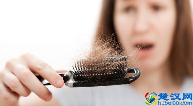 经常掉头发怎么办？4种方法教你告别脱发！