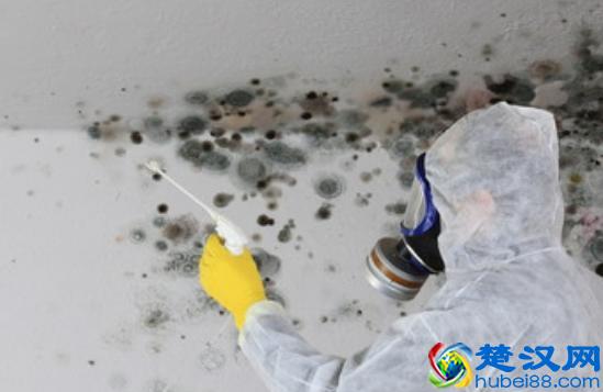 回南天是什么意思 回南天是怎么形成的