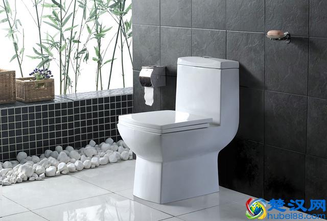 马桶，您了解多少？5分钟让您认清马桶！