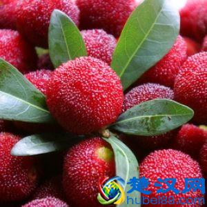 杨梅怎么洗干净 杨梅的正确清洗方法