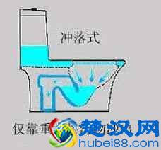 马桶，您了解多少？5分钟让您认清马桶！