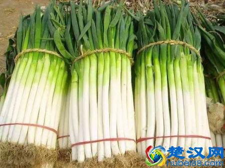 脚底长鸡眼，一走路就疼？中医教你2个让鸡眼自行脱落的小偏方！