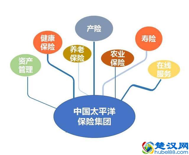 公司25年了，原来你是这样的太平洋保险！