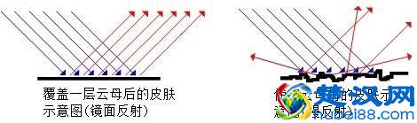 云母是有害？大错特错