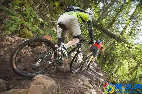 你了解变速器吗？变速器的作用你懂吗？SHIMANO变速器一览表