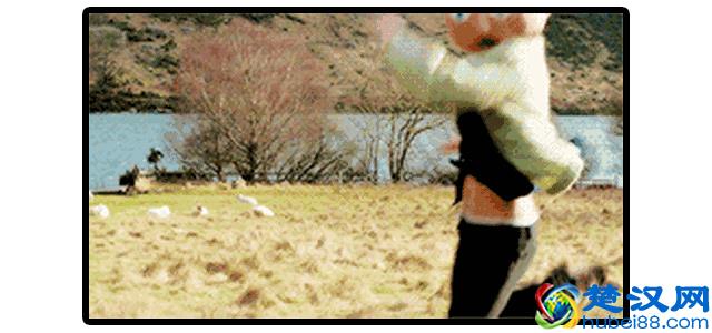 我是爱你的大头套，才不是你的大鸟