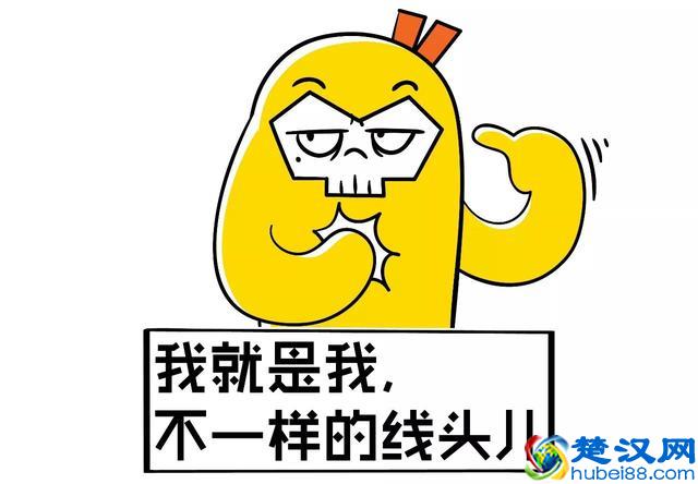 我是爱你的大头套，才不是你的大鸟