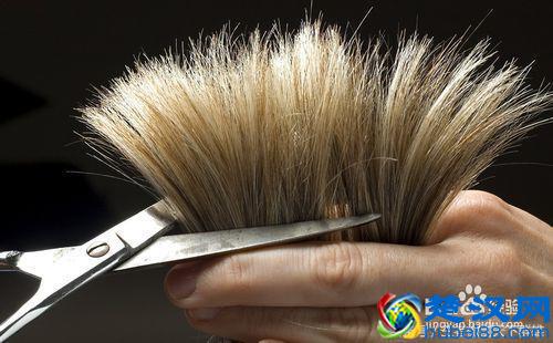 经常掉头发是什么原因 掉头发很厉害怎么办