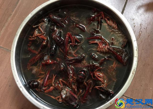 龙虾洗难清洗别担心，只需简单几步轻松洗净，干净卫生吃着更放心