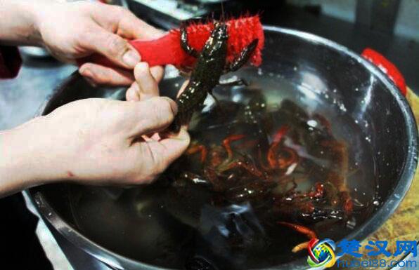 龙虾洗难清洗别担心，只需简单几步轻松洗净，干净卫生吃着更放心