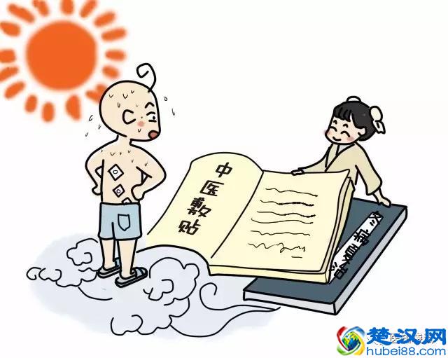 数万人去医院贴“三伏贴”，它到底有什么用？揭秘三伏贴的真相