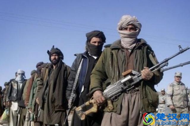 塔利班到底是个什么组织？为何这么多年都没办法消灭？