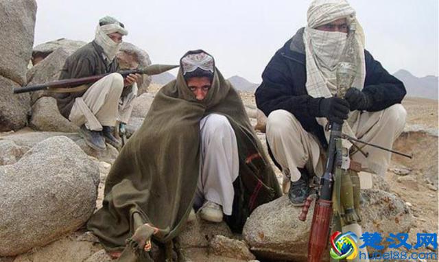 塔利班到底是个什么组织？为何这么多年都没办法消灭？