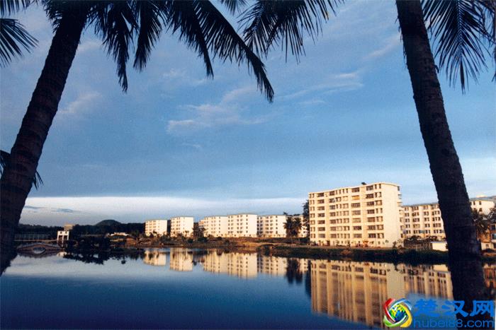 质疑声最大的211大学，到底是名副其实，还是“关系户”？