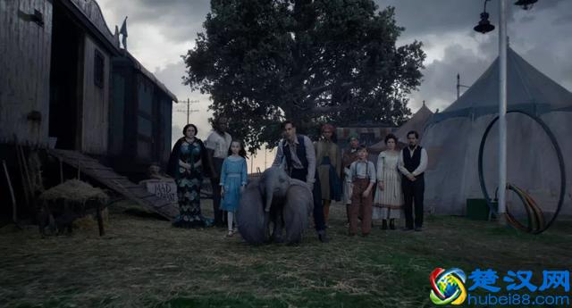 最近要去电影院看电影的，务必先看下这份排雷报告