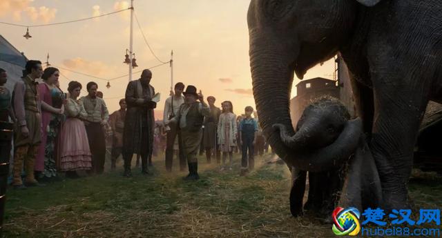 最近要去电影院看电影的，务必先看下这份排雷报告