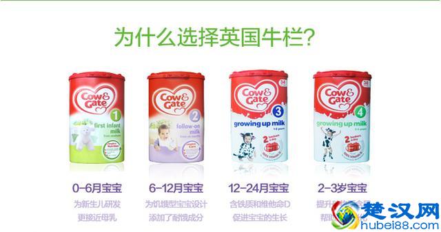 nutrilon奶粉怎么样？nutrilon奶粉真