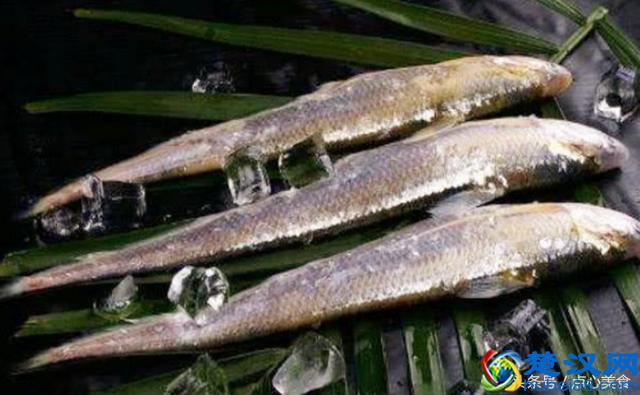 国内最好吃的淡水鱼，中年人也许听过吃过，90后都不懂