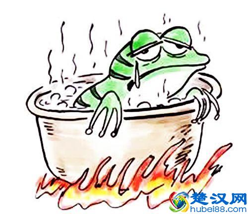 当65度时所有青蛙都跳出来了，“温水煮青蛙”原来是一场骗局