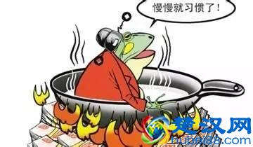 当65度时所有青蛙都跳出来了，“温水煮青蛙”原来是一场骗局