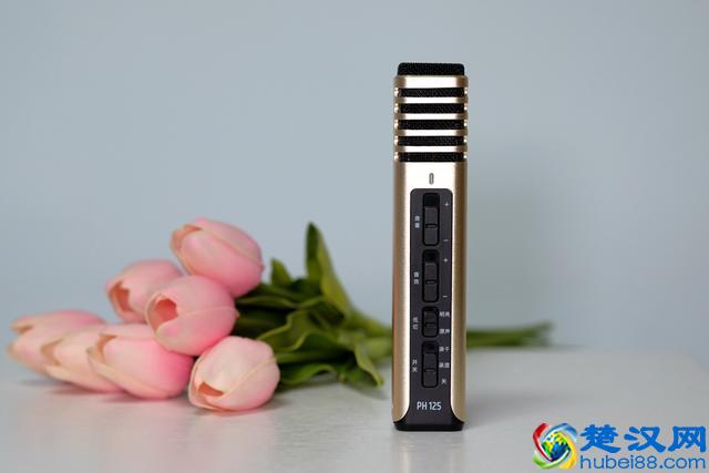 得胜PH125，好用实惠的手机麦克风
