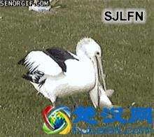 23333是搞笑的意思……