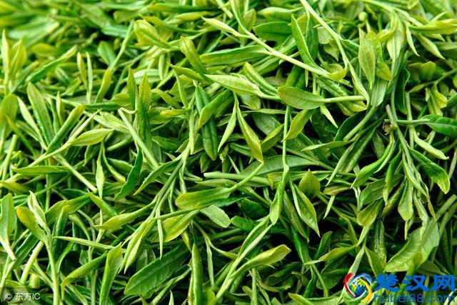 导致口臭的原因有哪些？这4个都可能是罪魁祸首，不容忽视