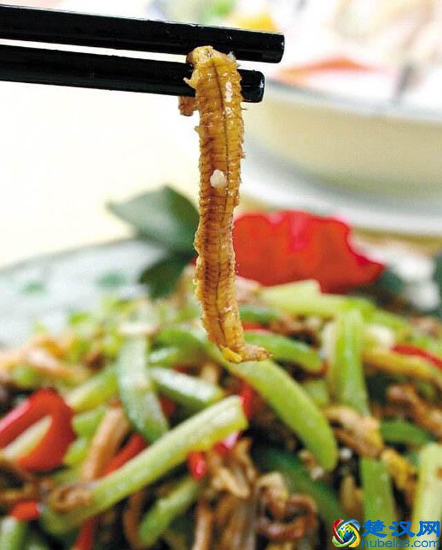 重口味！广东人什么都敢吃，一般人看了之后就想吐，你敢不敢吃？