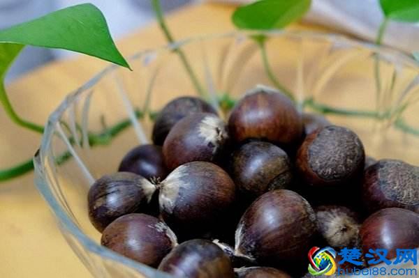 板栗要怎么煮才好吃，冷水下锅还是热水下锅，好多人都做错了！