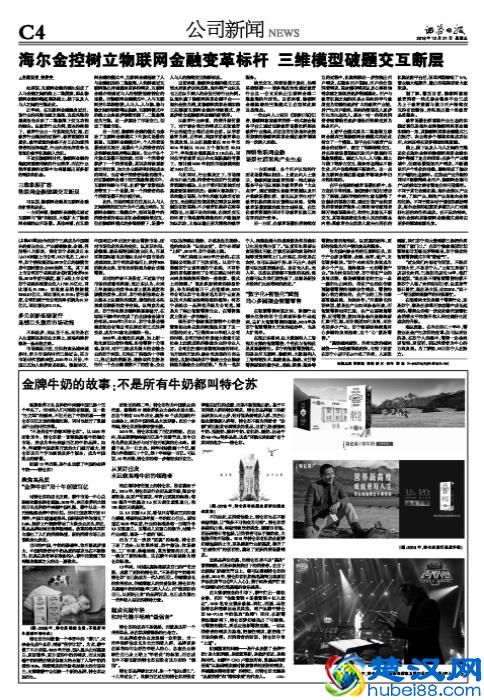 金牌牛奶的故事:不是所有牛奶都叫特仑苏