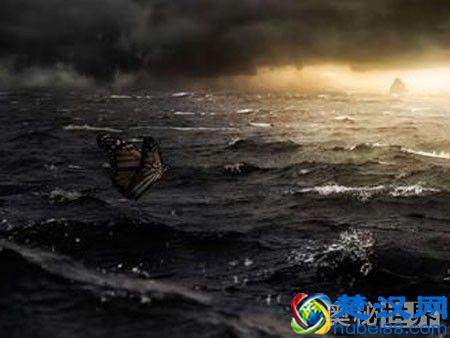 蝴蝶效应是什么意思,什么是蝴蝶效应