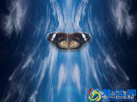 蝴蝶效应是什么意思,什么是蝴蝶效应