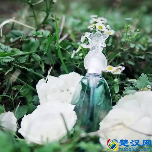 少女心满满 9款安娜苏香水香评