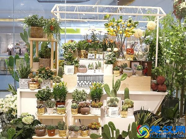 单纯卖内衣不赚钱了？歌瑞尔在广州开起了花艺家居集合馆