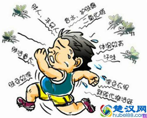 怎么才能防止蚊虫咬 蚊虫叮咬用什么药好