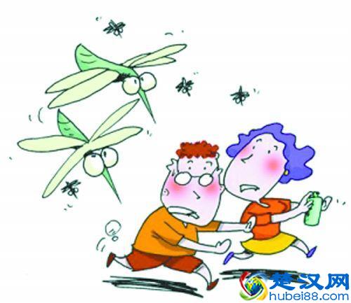 怎么才能防止蚊虫咬 蚊虫叮咬用什么药好