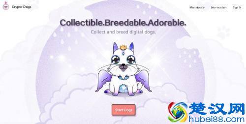 加密狗：以太坊养狗（CryptoDogs）新手教程