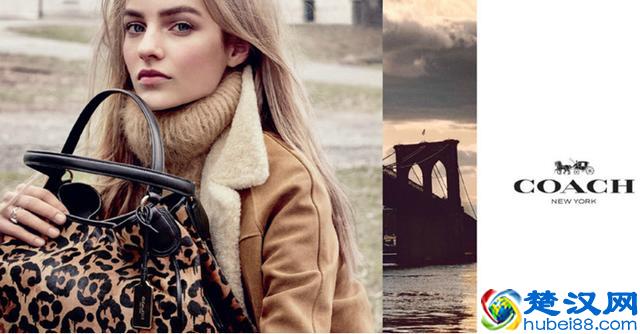Coach和Chanel是不一样的，别花了钱买了假的奢侈品！