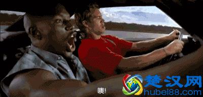 419是什么梗？告诉你，它的正确打开方式