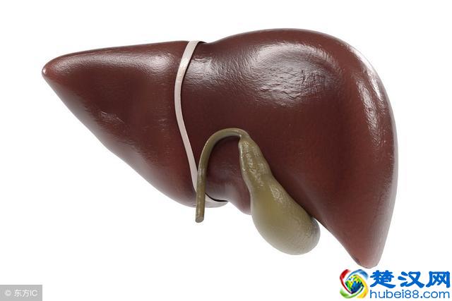 口苦尿黄是什么原因引起的？老实说，6个都可能是背后的“推手”