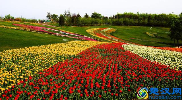 沈阳有什么好玩的地方 沈阳旅游景点推荐