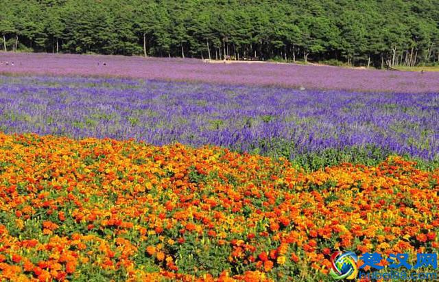 沈阳有什么好玩的地方 沈阳旅游景点推荐