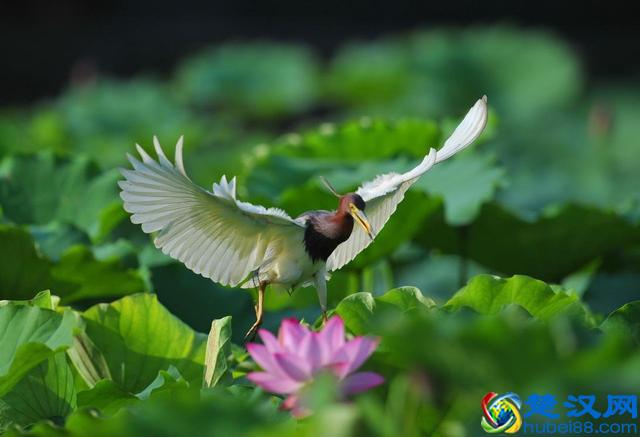 沈阳有什么好玩的地方 沈阳旅游景点推荐