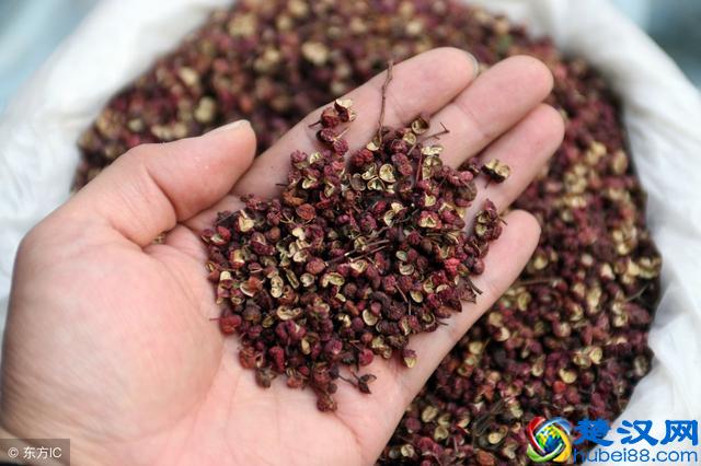 胆襄炎患者饮食有禁忌，尤其是这4类食物，碰都不要碰